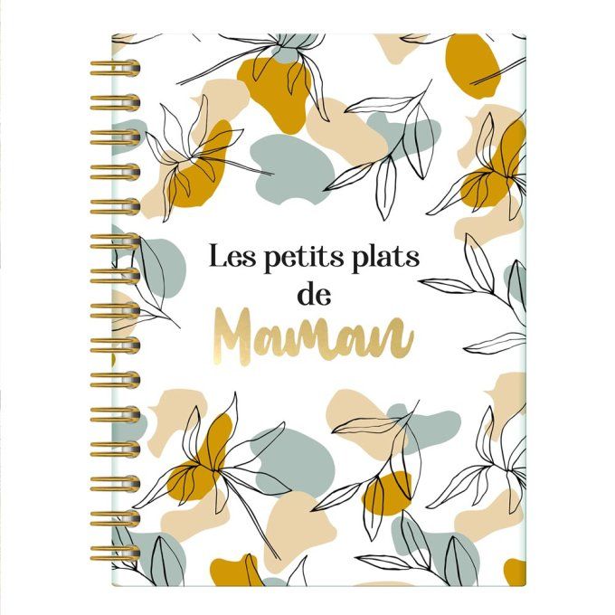 CARNET DE RECETTES