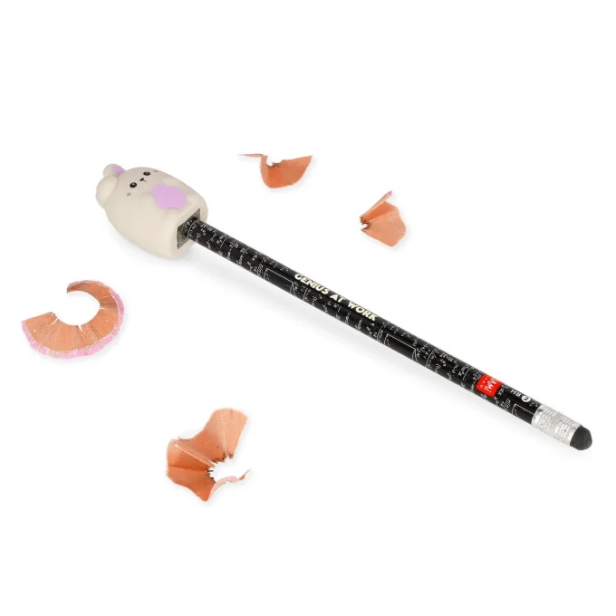 TAILLE CRAYON