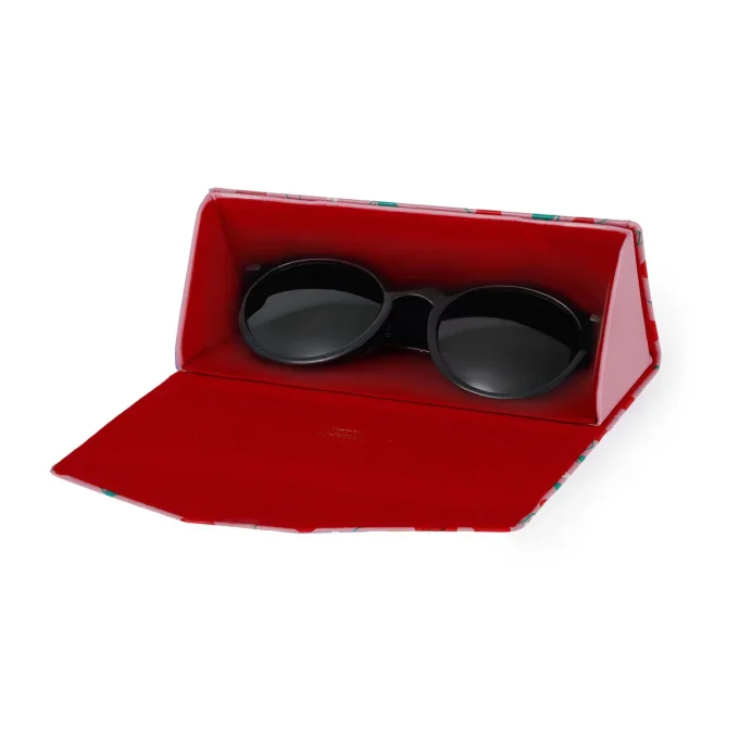 ETUI A LUNETTES