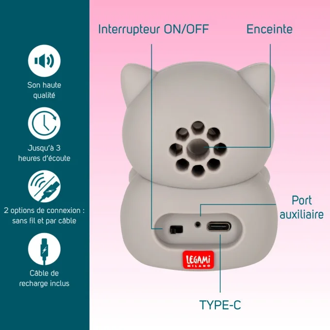 ENCEINTE SANS FIL
