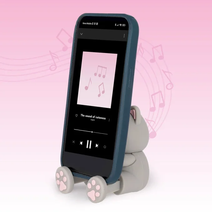 ENCEINTE SANS FIL