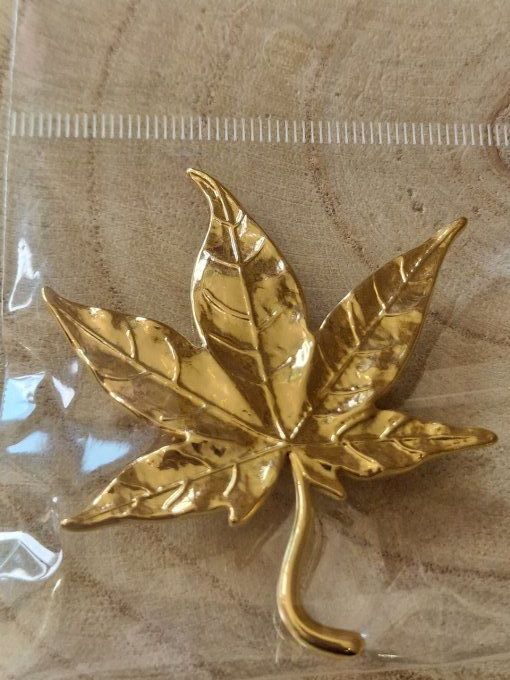 BROCHE